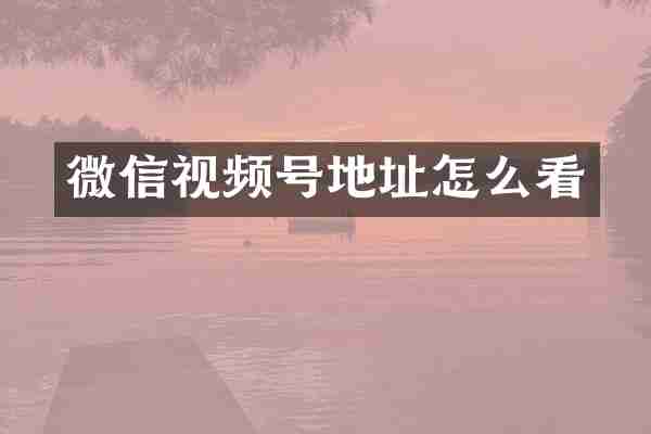 微信视频号地址怎么看