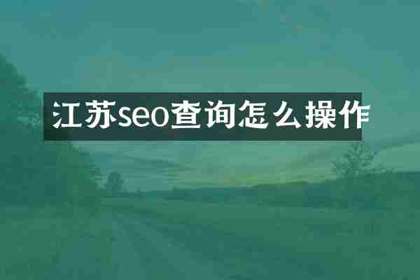 江苏seo查询怎么操作