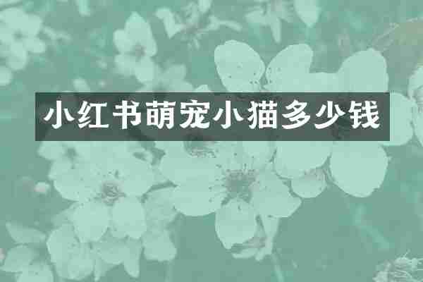 小红书萌宠小猫多少钱