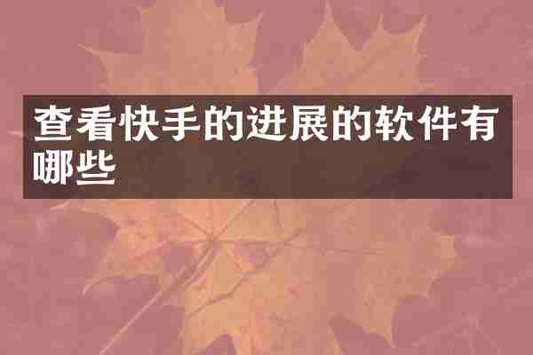查看快手的进展的软件有哪些