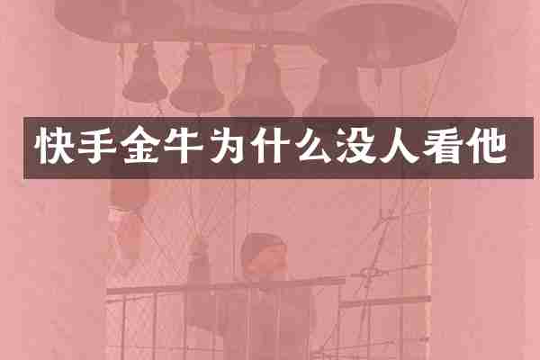 快手金牛为什么没人看他