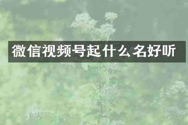 微信视频号起什么名好听