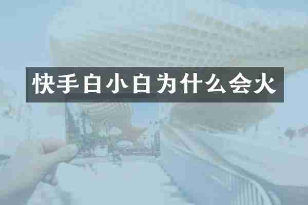 快手白小白为什么会火