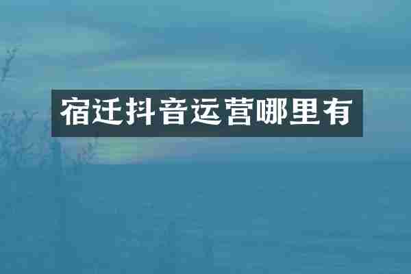 宿迁抖音运营哪里有