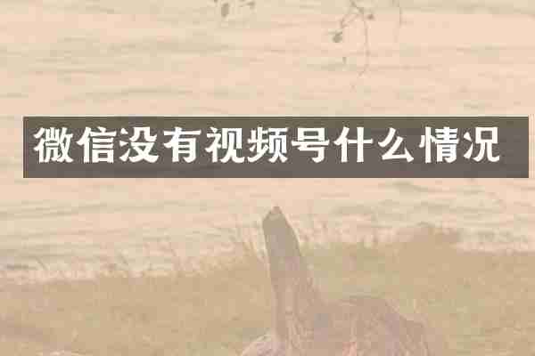 微信没有视频号什么情况
