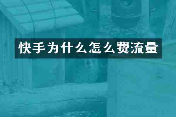 快手为什么怎么费流量