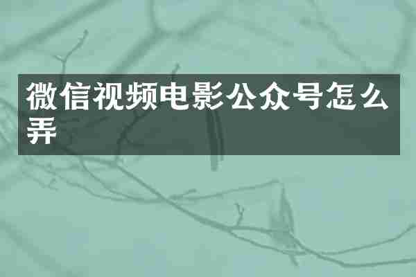 微信视频电影公众号怎么弄