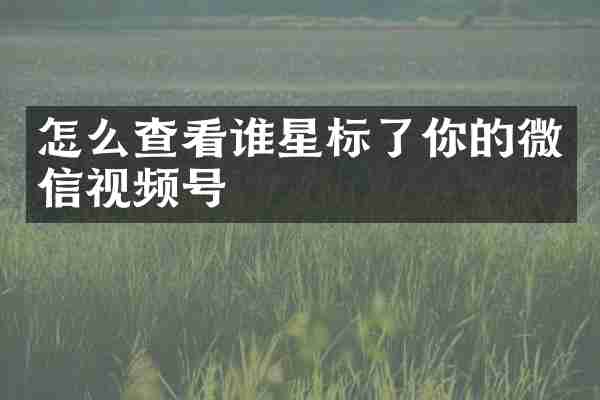 怎么查看谁星标了你的微信视频号