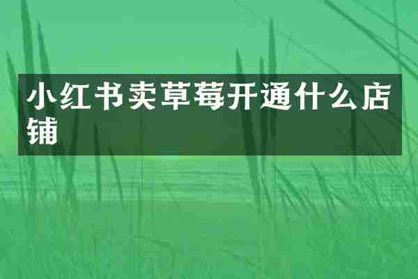 小红书卖草莓开通什么店铺