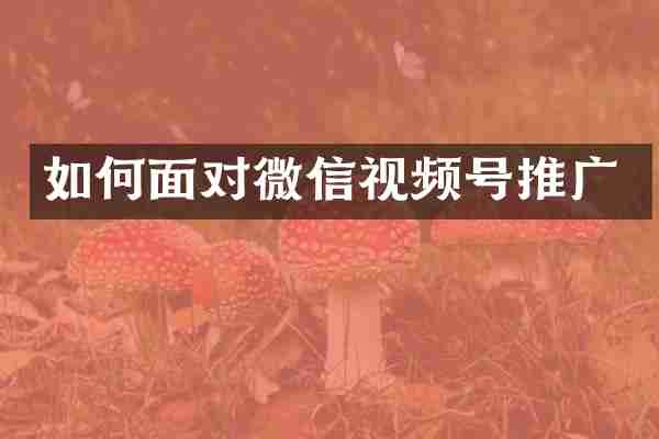如何面对微信视频号推广