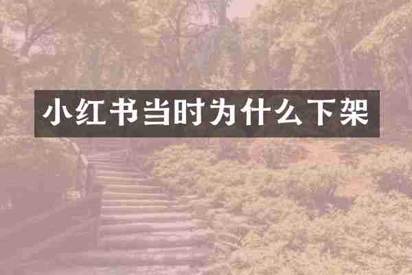 小红书当时为什么下架