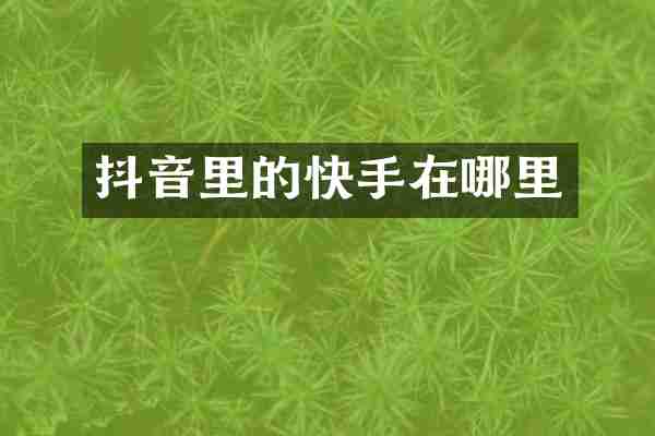 抖音里的快手在哪里