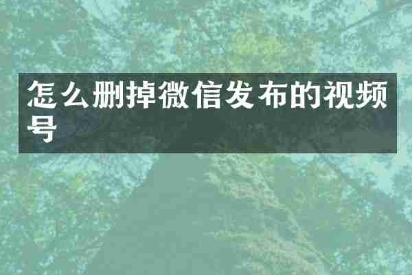 怎么删掉微信发布的视频号