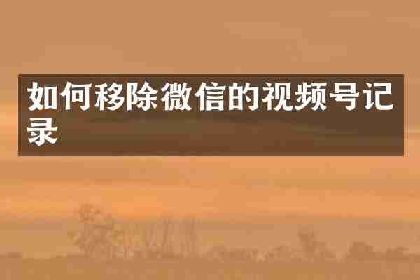 如何移除微信的视频号记录