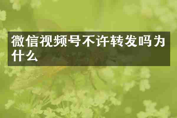 微信视频号不许转发吗为什么