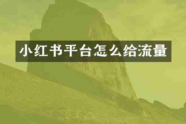 小红书平台怎么给流量