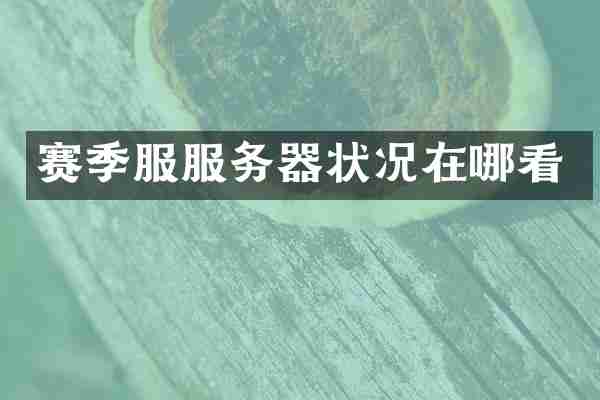 赛季服服务器状况在哪看