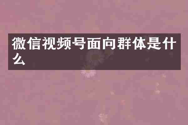 微信视频号面向群体是什么