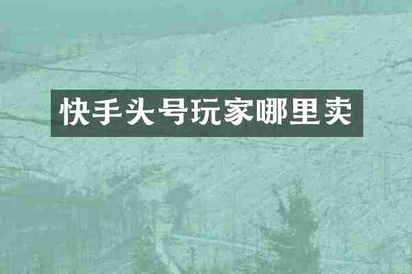 快手头号玩家哪里卖