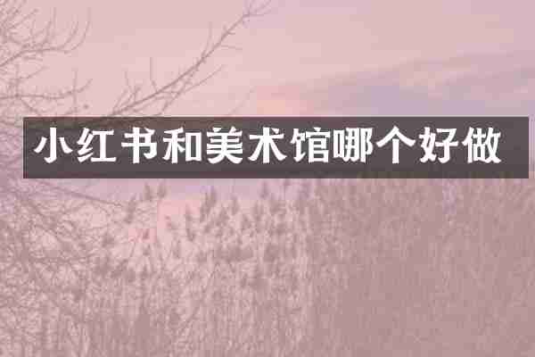 小红书和美术馆哪个好做