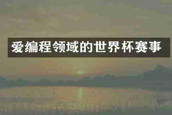 爱编程领域的世界杯赛事