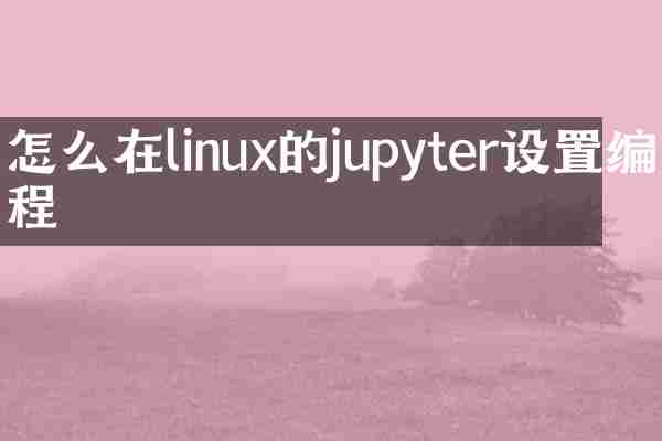 怎么在linux的jupyter设置编程