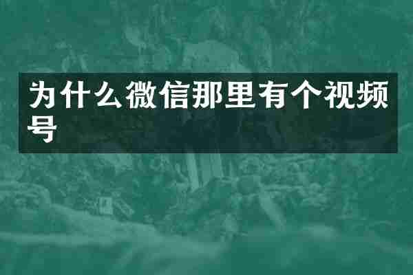 为什么微信那里有个视频号