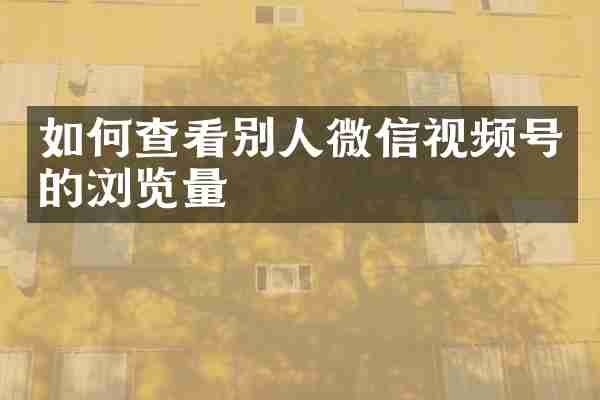 如何查看别人微信视频号的浏览量