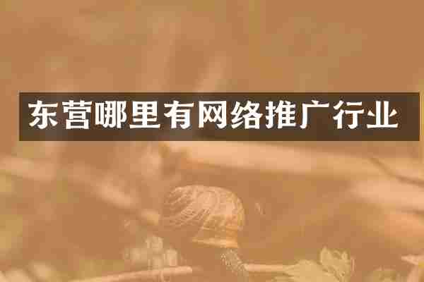 东营哪里有网络推广行业