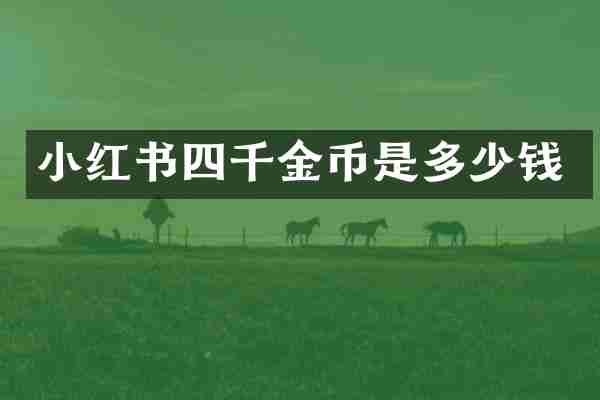 小红书四千金币是多少钱