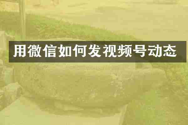 用微信如何发视频号动态