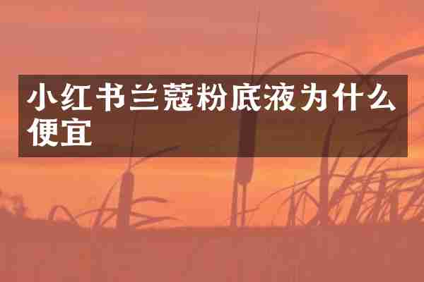 小红书兰蔻粉底液为什么便宜