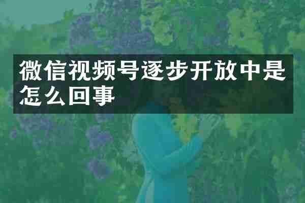 微信视频号逐步开放中是怎么回事