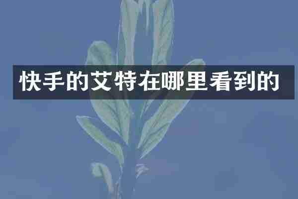 快手的艾特在哪里看到的