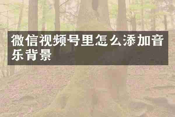 微信视频号里怎么添加音乐背景