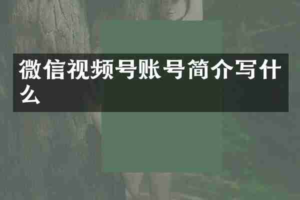 微信视频号账号简介写什么