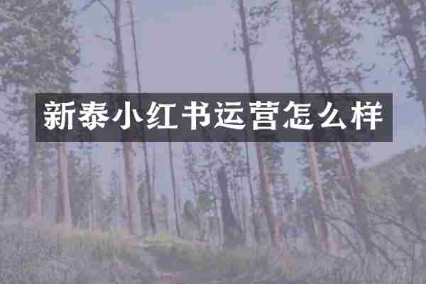 新泰小红书运营怎么样