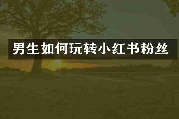 男生如何玩转小红书粉丝