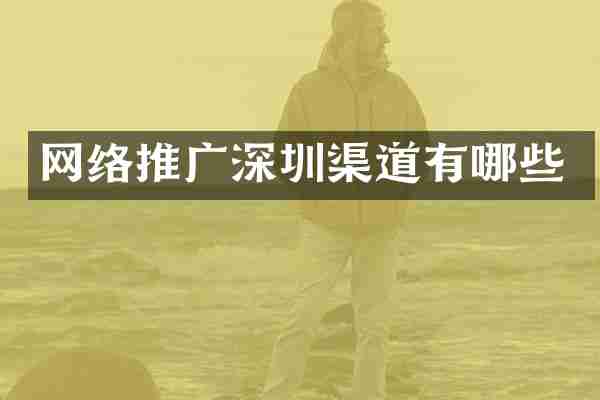 网络推广深圳渠道有哪些