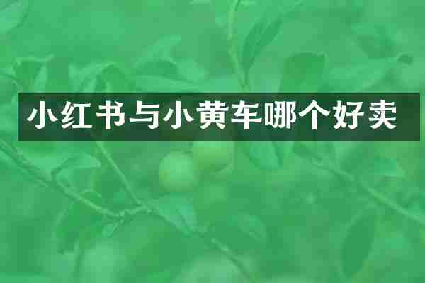 小红书与小黄车哪个好卖