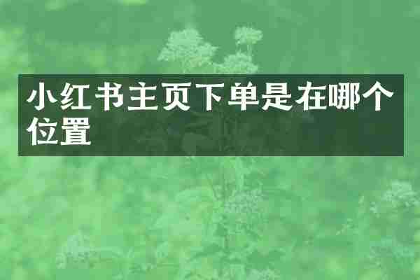 小红书主页下单是在哪个位置