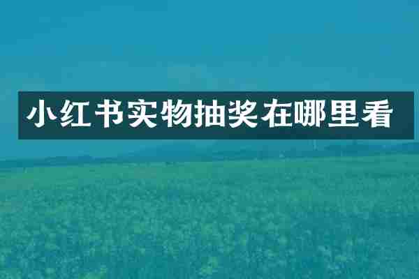 小红书实物抽奖在哪里看