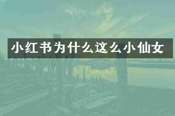 小红书为什么这么小仙女