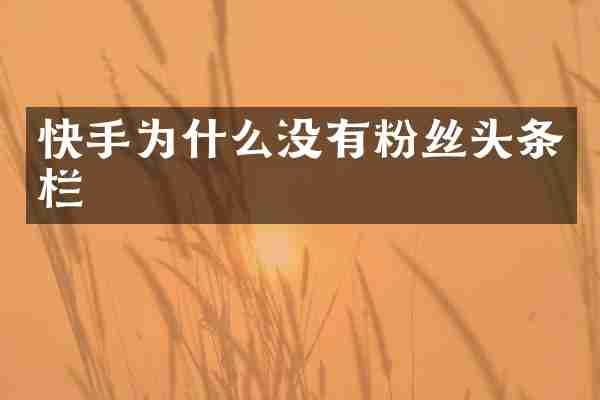 快手为什么没有粉丝头条栏