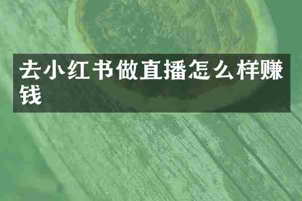 去小红书做直播怎么样赚钱