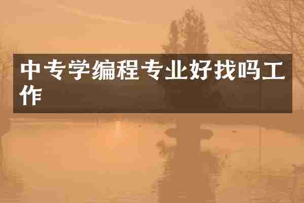 中专学编程专业好找吗工作