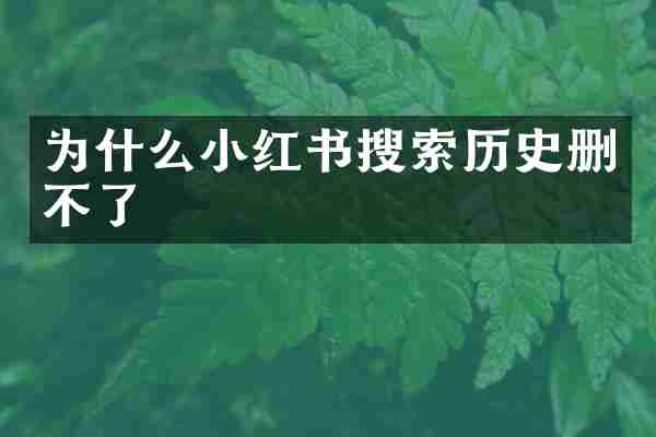为什么小红书搜索历史删不了