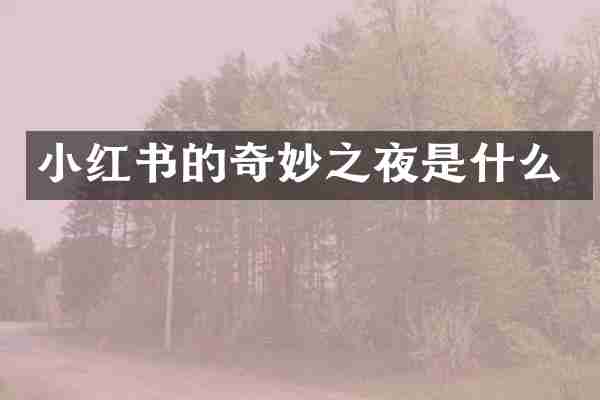 小红书的奇妙之夜是什么