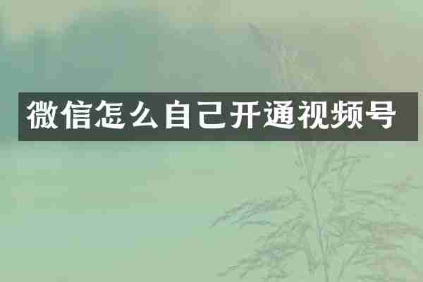 微信怎么自己开通视频号