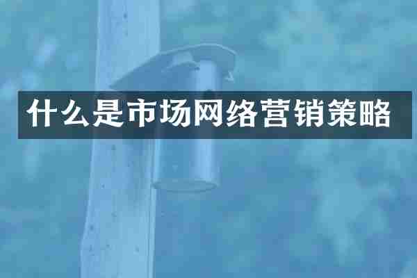 什么是市场网络营销策略